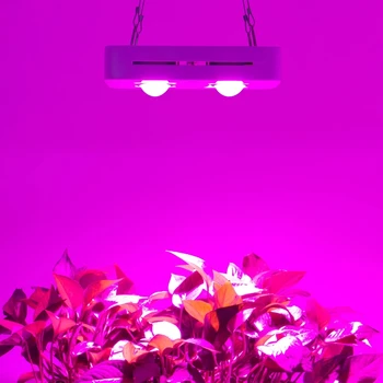 COB Led Лампа За Отглеждане на Пълна Гама от 300 W 3500 До, Лампа За Отглеждане на Растения За Стайни Растения, Цветя, Оранжерии, Хидропоника, Лампа За Отглеждане, Палатка