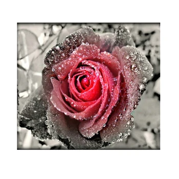 Направи си САМ 5D диамантена Картина на Рози Цвете 3D Бродерия на кръстат бод диамантена бродерия мозайка картина на диамантена живопис стикери за стена начало декор